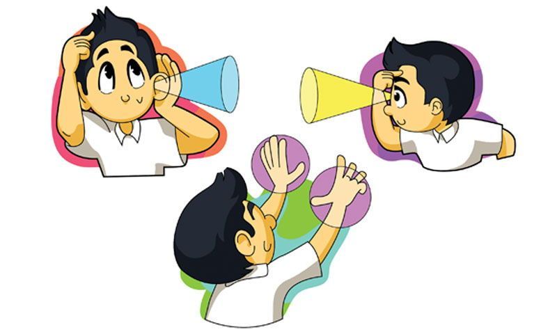 Ανακαλύπτοντας τους μαθησιακούς τύπους: Προσαρμογή της εκπαίδευσης στις ανάγκες των μαθητών